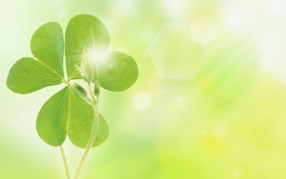 Sapa Clover Hotel Zewnętrze zdjęcie